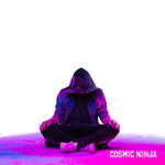 Cosmic Ninja